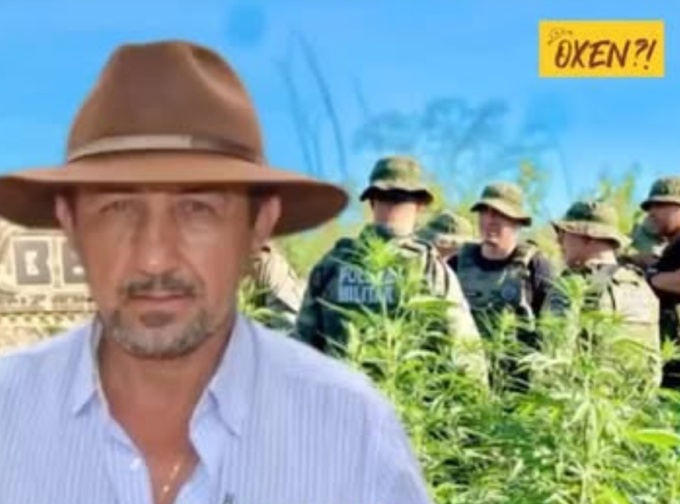 Polícia descobre plantação de maconha em fazenda de Ex-prefeito